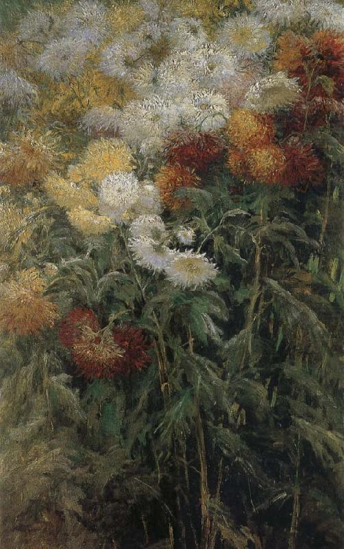 Gustave Caillebotte The chrysanthemum in the garden china oil painting image